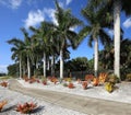 Beautiful Landscape in Naples, Florida