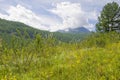 Beautiful landscape of the nature of Altai mountains in Russia