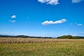 Beautiful landscape in the North Eifel in Germany, with a rye field in the foreground.