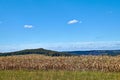 Beautiful landscape in the North Eifel in Germany, with a rye field in the foreground.