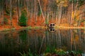 Beautiful landscape - an old fisherman`s house near the forest pond Royalty Free Stock Photo