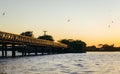 Beautiful landscape with a bridge, a lagoon and birds during sunset in Colonia Carlos Pellegrini, Argentina Royalty Free Stock Photo