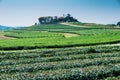 Beautiful landscape of Oolong tea plantations on the hills in Singha Park Royalty Free Stock Photo