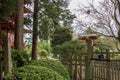 A beautiful landscape with an orange pergola and lush green trees, grass and plants in the Japanese Tea Garden at Golden Gate Park Royalty Free Stock Photo