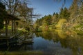 Beautiful landscape in an oriental park