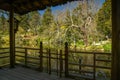 Beautiful landscape in an oriental park