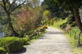 Beautiful landscape in an oriental park