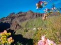 Landscape with Masca village in Tenerife