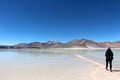 Beautiful landscape over the salt flats Royalty Free Stock Photo