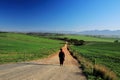 A beautiful landscape in the Overberg