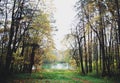 View from the forest to the pond