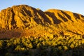 Beautiful landscape of palm oasis close to Tinghir, Morocco, Africa