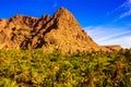 Beautiful landscape of palm oasis close to Tinghir, Morocco, Africa