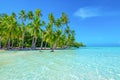 Palm trees on the beach. Travel and tourism concept. Tahaa, Raiatea, French Polynesia. Royalty Free Stock Photo