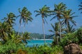 Beautiful landscape with palms, Sri Lanka Royalty Free Stock Photo