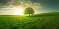 Beautiful landscape panorama with a lone tree amidst green meadows under bright morning sun. Generative AI illustration Royalty Free Stock Photo