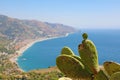 Beautiful landscape panorama of Sicily coastline with focus on the cactus. Blue Mediterranean sea and green mountians in Taormina