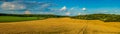 beautiful landscape panoramic view of gold wheat field, ears and yellow and green hills Royalty Free Stock Photo