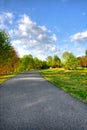 Beautiful Landscape in a Park