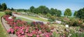 Beautiful landscape park with blooming roses, tourist resort Gstadt, lake chiemsee and alps in the back