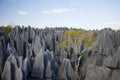 Great tsingy park in bekopaka in madagascar