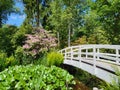 Beautiful landscape in Park Seleger Moor. Royalty Free Stock Photo