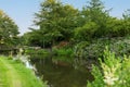 Beautiful  landscape of park trees located along the bank of the canal with wooden bridg Royalty Free Stock Photo