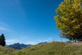 Beautiful landscape with peak Ifen in Kleinwalsertal valley, Austria Royalty Free Stock Photo