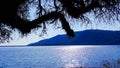 beautiful landscape photo with a lake, mountains and a large tree in beautiful blue tones that invite reflection Royalty Free Stock Photo