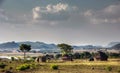 A rural Zimbabwean homestead Royalty Free Stock Photo