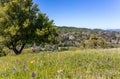 Beautiful landscape photos in the spring in California. With lush green hills, Green shrubs and trees, beautiful purple and orange Royalty Free Stock Photo