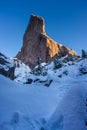 Wall of rock in winter close to Christmas Holiday with pine tree