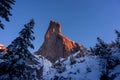 Wall of rock in winter close to Christmas Holiday with pine tree