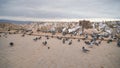 Beautiful landscape of pigeons are flying in Cappadocia pigeon valley, Uchisar, Turkey. Royalty Free Stock Photo