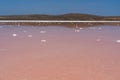 Beautiful landscape of a pink salt lake.