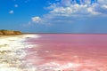 Beautiful landscape of pink water salt lake in Ukraine. Summer sunny day, blue sky with wight clouds, panoramic view Royalty Free Stock Photo