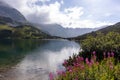 Nature landscape among Polish mountains with a small mountain lake with violet-pink flowers and green trees Royalty Free Stock Photo