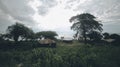 Beautiful landscape of a poor village in Africa. Small houses stand on the sea. Royalty Free Stock Photo