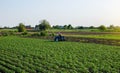 Beautiful landscape of potato plantation and a cultivator tractor. Agroindustry and agribusiness. Field work cultivation. Farm Royalty Free Stock Photo