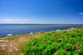 Beautiful landscape of the Puck Bay on the Hel Peninsula in summer. Poland