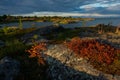 Beautiful landscape in Rabocheostrovsk, Karelia at summer