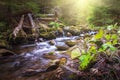 Beautiful landscape rapids on a mountains river in sunlight. Royalty Free Stock Photo