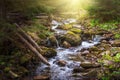 Beautiful landscape rapids on a mountains river in sunlight. Royalty Free Stock Photo