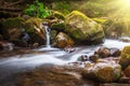 Beautiful landscape rapids on a mountains river in sunlight. Royalty Free Stock Photo