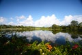 Beautiful landscape reflections of cloud and tree Royalty Free Stock Photo