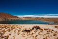 Beautiful landscape in the reserva nacional los flamencos