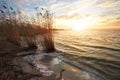 Beautiful landscape with the reservoir, reeds, sunset sky Royalty Free Stock Photo