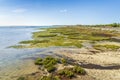 Beautiful landscape of Ria Formosa Natural Park, Algarve, Portugal Royalty Free Stock Photo