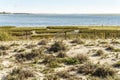 Beautiful landscape of Ria Formosa Natural Park with dunes, Algarve, Portugal Royalty Free Stock Photo
