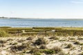 Beautiful landscape of Ria Formosa Natural Park with dunes, Algarve, Portugal Royalty Free Stock Photo